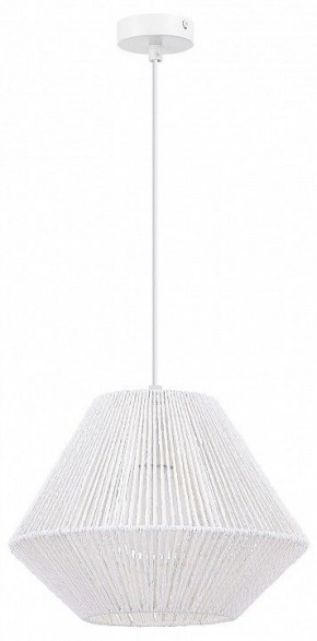 Подвесной светильник EVOLUCE ETTAN SLE6025-503-01 в Талице - talica.ok-mebel.com | фото 4