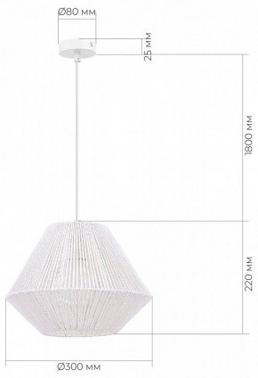Подвесной светильник EVOLUCE ETTAN SLE6025-503-01 в Талице - talica.ok-mebel.com | фото 6