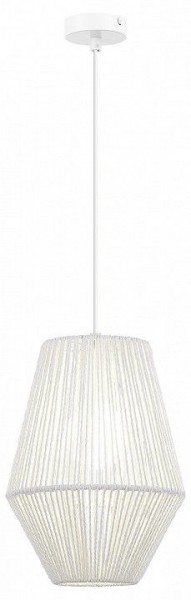 Подвесной светильник EVOLUCE ETTAN SLE6025-513-01 в Талице - talica.ok-mebel.com | фото