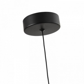 Подвесной светильник Favourite Cattivo 4452-1P в Талице - talica.ok-mebel.com | фото 7