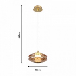 Подвесной светильник Favourite Claros 4641-1P в Талице - talica.ok-mebel.com | фото 4