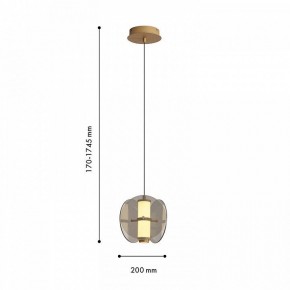 Подвесной светильник Favourite Fada 4625-1P в Талице - talica.ok-mebel.com | фото 5