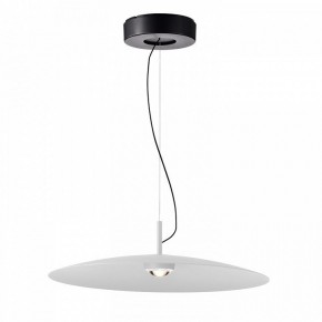Подвесной светильник Favourite Lars 4410-2P в Талице - talica.ok-mebel.com | фото 2