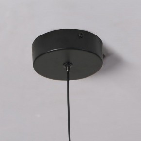 Подвесной светильник Favourite Wilet 4656-1P в Талице - talica.ok-mebel.com | фото 10