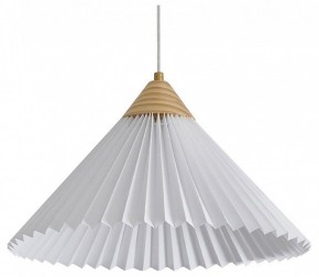 Подвесной светильник Freya Kinsley FR5533PL-01BS1 в Талице - talica.ok-mebel.com | фото 2