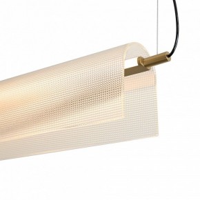 Подвесной светильник Freya Loyd FR5556PL-L22BBS в Талице - talica.ok-mebel.com | фото 11