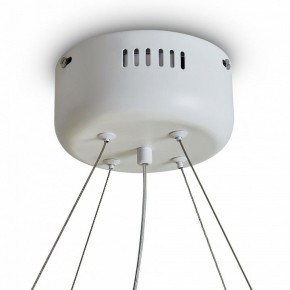 Подвесной светильник Freya Rain FR5546PL-L60W в Талице - talica.ok-mebel.com | фото 9