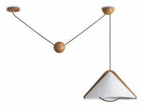 Подвесной светильник Freya Umbra FR5554CL-01T в Талице - talica.ok-mebel.com | фото