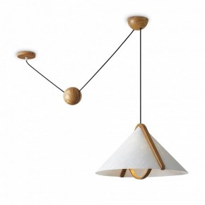 Подвесной светильник Freya Umbra FR5554CL-01T в Талице - talica.ok-mebel.com | фото 2