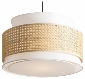 Подвесной светильник Freya Weave FR5492PL-01B в Талице - talica.ok-mebel.com | фото