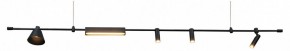 Подвесной светильник Kink Light Ристо 07616-180L,19 в Талице - talica.ok-mebel.com | фото