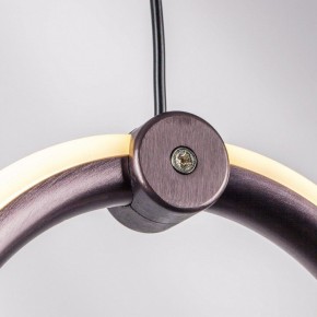 Подвесной светильник Lightstar Caramello 796113 в Талице - talica.ok-mebel.com | фото 9