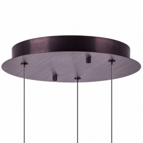 Подвесной светильник Lightstar Caramello 796139 в Талице - talica.ok-mebel.com | фото 13