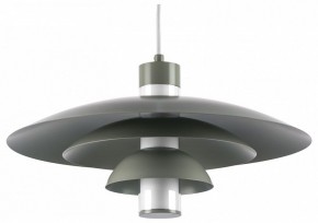 Подвесной светильник Lightstar Erbareo 799019 в Талице - talica.ok-mebel.com | фото