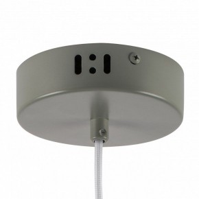 Подвесной светильник Lightstar Erbareo 799019 в Талице - talica.ok-mebel.com | фото 5