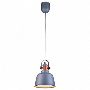 Подвесной светильник Lucia Tucci Industrial INDUSTRIAL 1820.1 SAND SILVER в Талице - talica.ok-mebel.com | фото 2