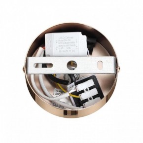 Подвесной светильник Lumion Cristie 8009/6L в Талице - talica.ok-mebel.com | фото 6