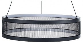 Подвесной светильник Lumion Felisiti 8103/38L в Талице - talica.ok-mebel.com | фото