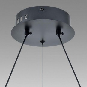 Подвесной светильник Lumion Felisiti 8103/38L в Талице - talica.ok-mebel.com | фото 8