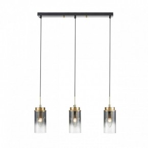 Подвесной светильник Lumion Isha 8101/3A в Талице - talica.ok-mebel.com | фото 7