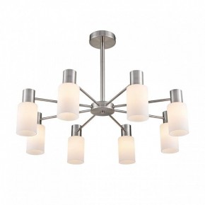 Подвесной светильник Lumion Mave 8099/8C в Талице - talica.ok-mebel.com | фото 3