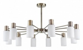 Подвесной светильник Lumion Mave 8100/12C в Талице - talica.ok-mebel.com | фото
