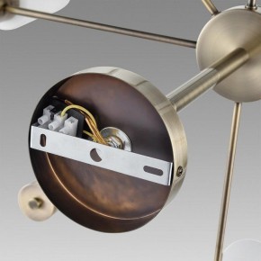 Подвесной светильник Lumion Mave 8100/8C в Талице - talica.ok-mebel.com | фото 6