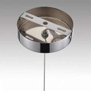 Подвесной светильник Lumion Solida 8088/1A в Талице - talica.ok-mebel.com | фото 6