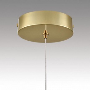 Подвесной светильник Lumion TRINO 8080/1A в Талице - talica.ok-mebel.com | фото 9