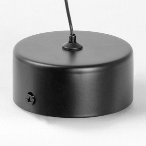 Подвесной светильник Lussole Blount LSP-7356 в Талице - talica.ok-mebel.com | фото 6