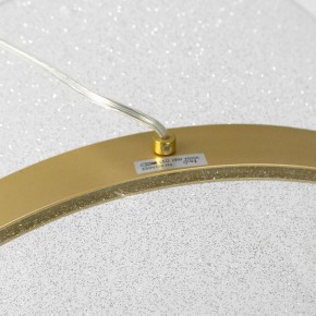 Подвесной светильник Lussole Bradford LSP-7159 в Талице - talica.ok-mebel.com | фото 4