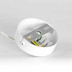 Подвесной светильник Lussole Gregg LSP-8964 в Талице - talica.ok-mebel.com | фото 7