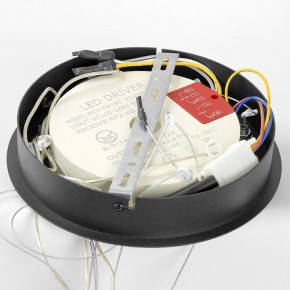 Подвесной светильник Lussole Hale LSP-7380 в Талице - talica.ok-mebel.com | фото 6
