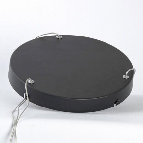 Подвесной светильник Lussole HARDIN LSP-7427 в Талице - talica.ok-mebel.com | фото 4