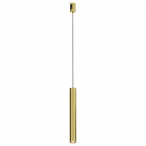 Подвесной светильник Maytoni Focus Led TR155-1-5W3K-BS в Талице - talica.ok-mebel.com | фото