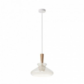 Подвесной светильник Maytoni Toys MOD405PL-01W в Талице - talica.ok-mebel.com | фото 2