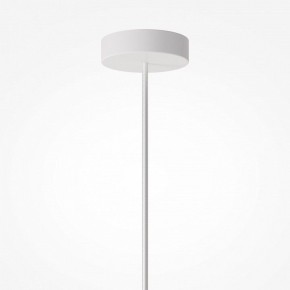 Подвесной светильник Maytoni Toys MOD405PL-01W в Талице - talica.ok-mebel.com | фото 7