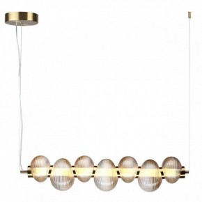 Подвесной светильник Odeon Light Bruco 5095/24L в Талице - talica.ok-mebel.com | фото 2