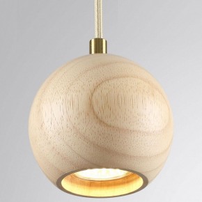 Подвесной светильник Odeon Light Caucho 7061/1 в Талице - talica.ok-mebel.com | фото 2