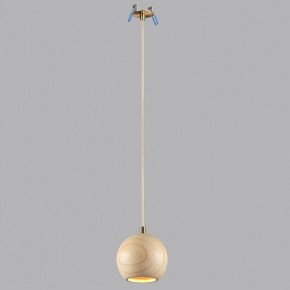 Подвесной светильник Odeon Light Caucho 7061/1 в Талице - talica.ok-mebel.com | фото 3