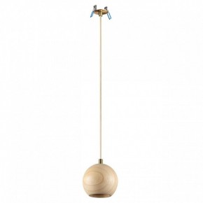 Подвесной светильник Odeon Light Caucho 7061/1 в Талице - talica.ok-mebel.com | фото 5