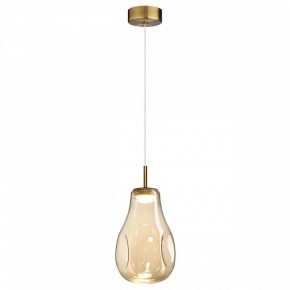 Подвесной светильник Odeon Light Nave 5098/4L в Талице - talica.ok-mebel.com | фото 2