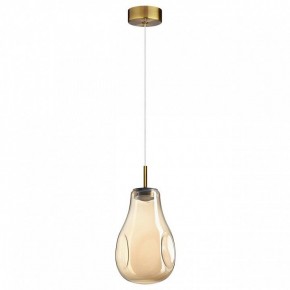 Подвесной светильник Odeon Light Nave 5098/4L в Талице - talica.ok-mebel.com | фото 4