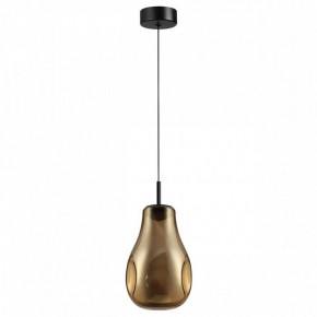 Подвесной светильник Odeon Light Nave 5098/4LA в Талице - talica.ok-mebel.com | фото 4