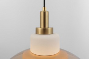 Подвесной светильник Rivoli Camille Б0061901 в Талице - talica.ok-mebel.com | фото 12