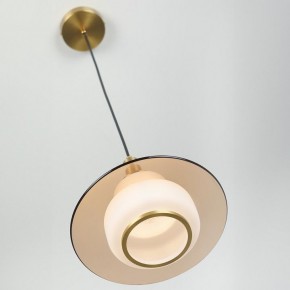 Подвесной светильник Rivoli Camille Б0061901 в Талице - talica.ok-mebel.com | фото 9