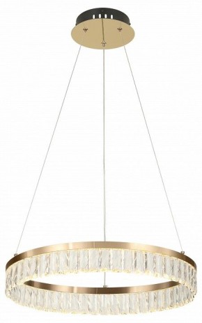 Подвесной светильник Rivoli Erika Б0061968 в Талице - talica.ok-mebel.com | фото 6