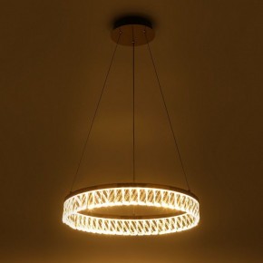 Подвесной светильник Rivoli Erika Б0061968 в Талице - talica.ok-mebel.com | фото 7