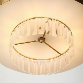 Подвесной светильник Rivoli Vickie Б0061902 в Талице - talica.ok-mebel.com | фото 11