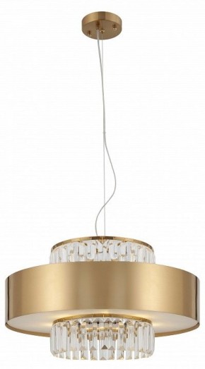 Подвесной светильник Rivoli Vickie Б0061902 в Талице - talica.ok-mebel.com | фото 5